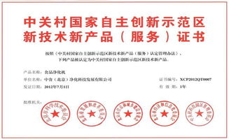 信息技術(shù)咨詢(xún)服務(wù)的價(jià)值與選擇指南